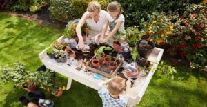 Easy gardening | Artstyone | kweken en oogsten | moestuin | tuininspiratie