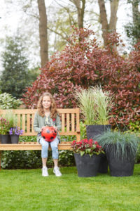 Tuinplant van de maand november Skimmia | Tuinplant | winterharde plant | Artstone | Artstone planter | Tuinieren | planten | planttips | Easy gardening | tuinblog | plantinfo