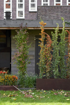 dood gaan Stijgen marge Winterharde potplanten - Artstone Planter