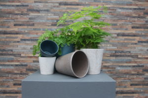 Varen als kamerplant | artstone planter | woonplant | varens | gemakkelijke plant | kamerplanten | plant voor woonkamer | badkamerplant