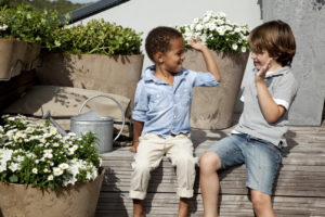 Waarom een bij-vriendelijke tuin zo belangrijk is