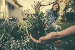 Waarom een bij-vriendelijke tuin zo belangrijk is