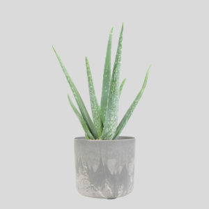 Bloempot Celine | Artstone planter | Artstone pot | Artstoneplanter | Bloempot met drainagesysteem | bloempot met waterfeesysteem | Hangpot | Eco bloempot | ecopot